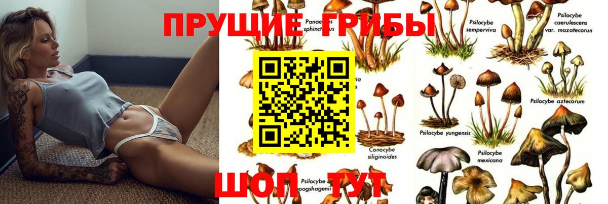 Асино  Галлюциногенные грибы ЛСД  Вход с VPN 